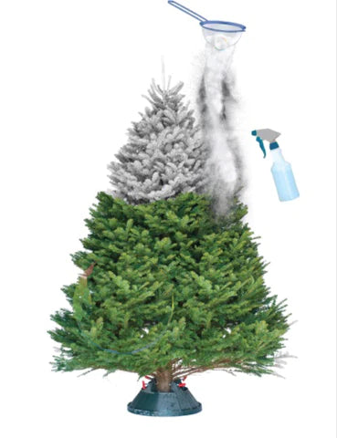 Frosty Snow - Artificial Snow Powder - Biodegradable - Self Adhesive - The Eco Friendly Alternative to Spray Can Snow