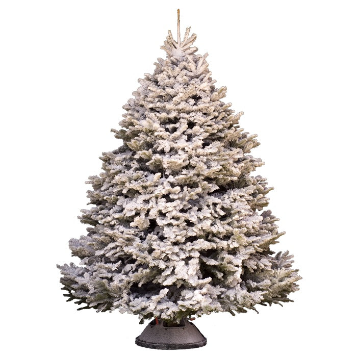 Frosty Snow - Artificial Snow Powder - Biodegradable - Self Adhesive - The Eco Friendly Alternative to Spray Can Snow