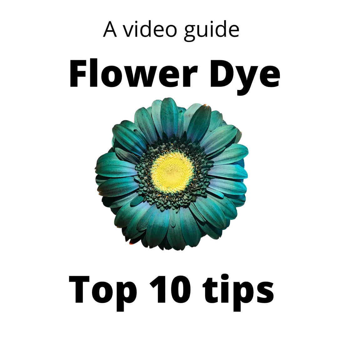 Top 10 tips for successful flower dyeing